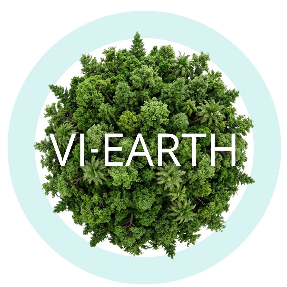 VI-EARTH